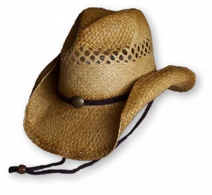 Vandica Cowboy Hats